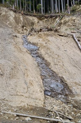 20090422_CanyonCk-85.jpg