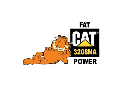 3208NA FAT CAT POWER