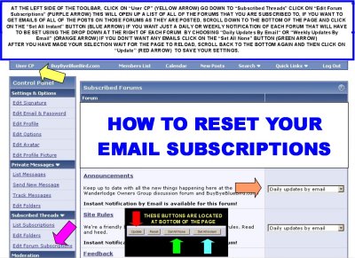 HOW TO RESET YOUR EMAIL SETTINGS.jpg