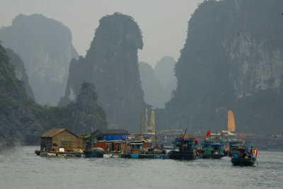 A floating village in the Bay
