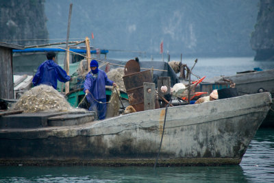 Fishermen tending their nets