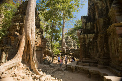 Ta Prohm Temple Complex where the jungle's presence can still be seen