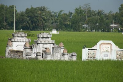 Family burial grounds in the rice fields