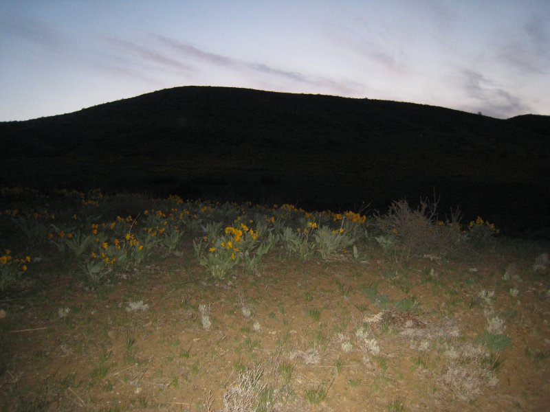 IMG_1983.JPG