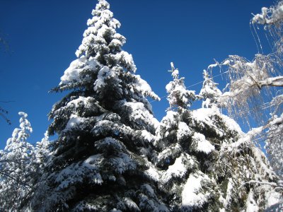 snow-spanked spokane