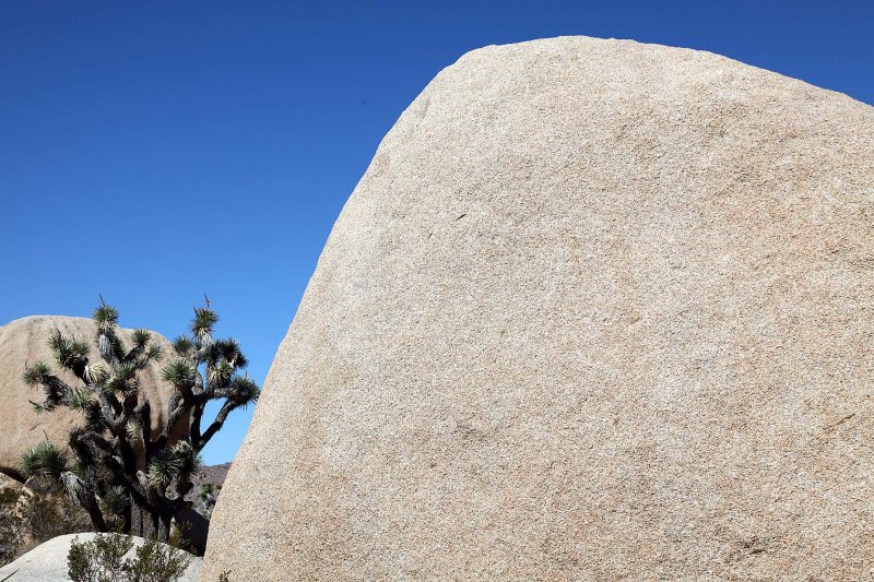 PalmSprings_047.jpg