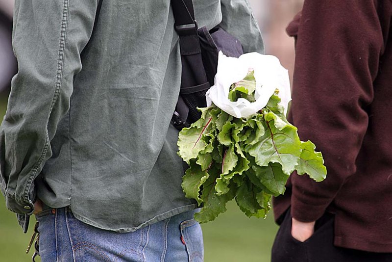 Man with salad