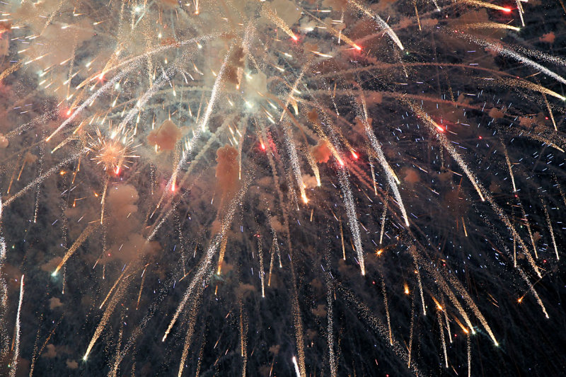 DC2010_184.JPG
