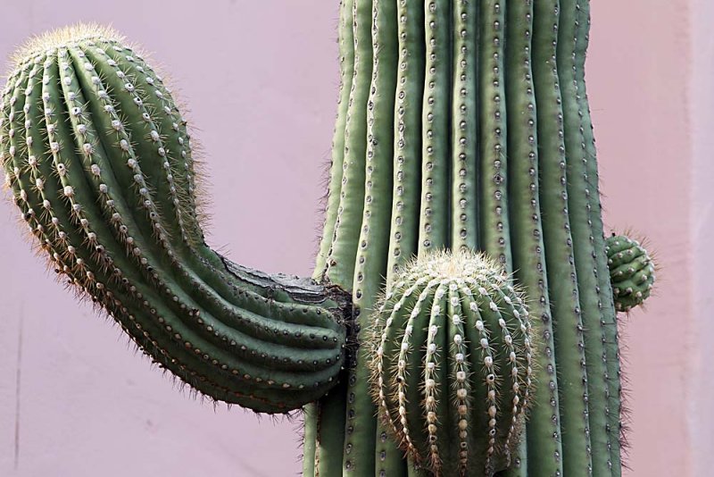 026-Tucson.JPG