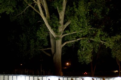 Traveling Vietnam Memorial
