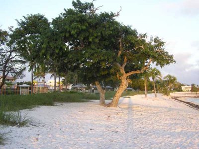 Sombrero Beach