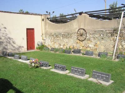 P1010029.jpg