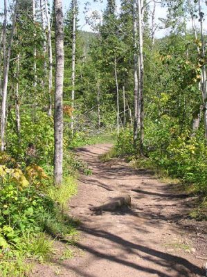 Trail to High Falls