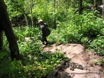 Trail to Two Step Falls