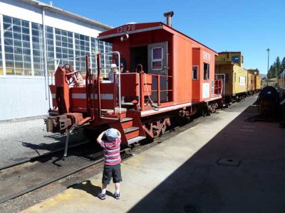 P1010232.jpg
