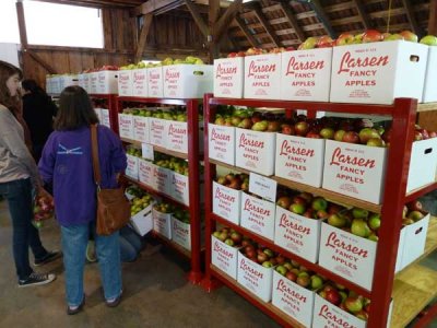 Larsen Apple Barn