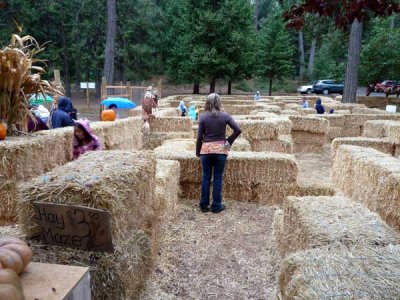 Hay Maze at Apple Ridge Farms
