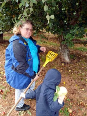 U Pick Apples at Goyette's North Canyon Ranch