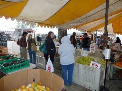 Able's Apple Acres