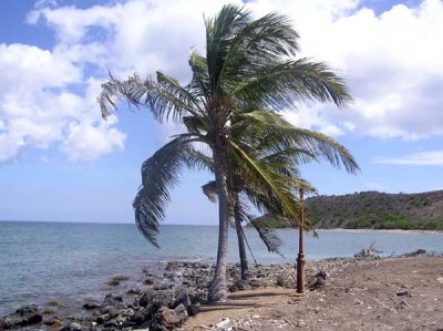 Ruins of the Banana Bay Resort