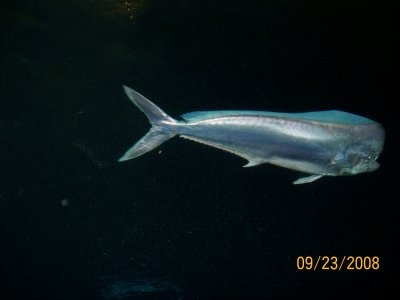 g1/81/517081/3/103689854.uAFQzMve.jpg