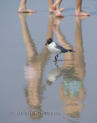 Réflection