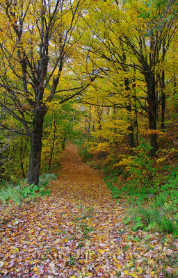 Côte-de-Beaupré (Québec