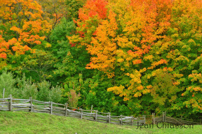 Côte-de-Beaupré 1535 (Québec) / Autumn / Couleurs d'automne