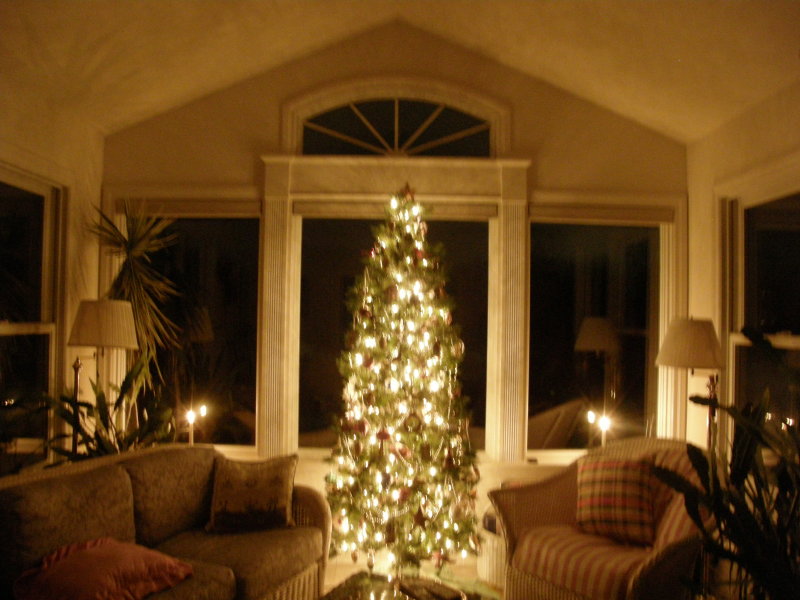 ChristmashouseSunroom tree.JPG