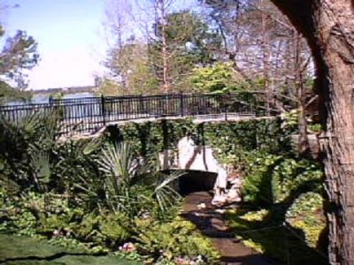 The brook ran under a bridge to the lake.JPG