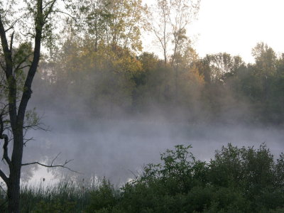 Mist floats over the pond some mornings, but usually it's clear. Chris mowed a seating area on shore.JPG