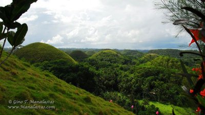 Chocolate Hills