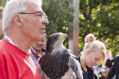 colognemanwithhawk-sk.JPG