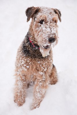 Thunder loves the snow!