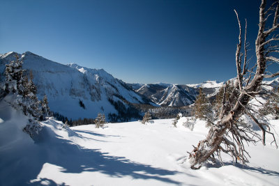 Telluride