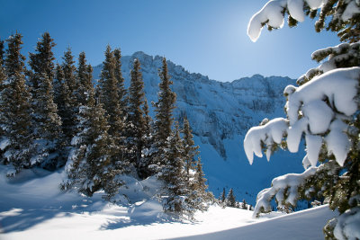 Telluride