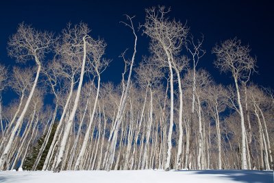 Telluride
