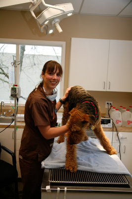 090501_Thunder_Dental_00596.jpg