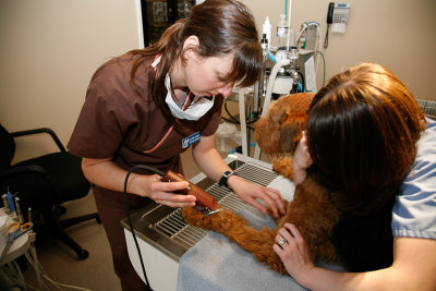090501_Thunder_Dental_00603.jpg