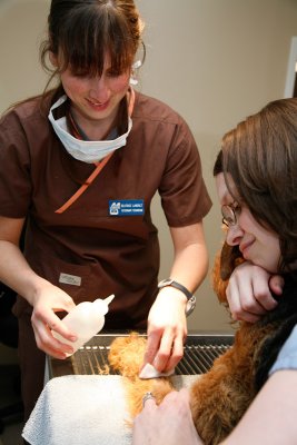 090501_Thunder_Dental_00608.jpg