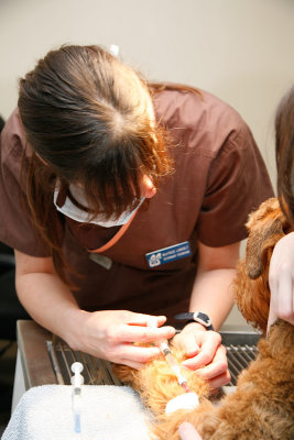 090501_Thunder_Dental_00631.jpg