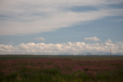 West of Cut Banks, MT