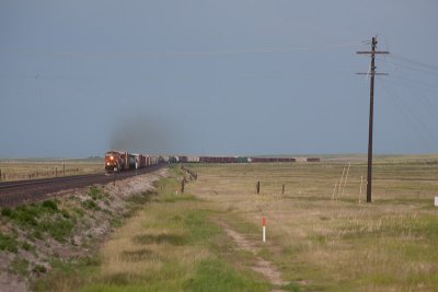 West of Cut Banks, MT