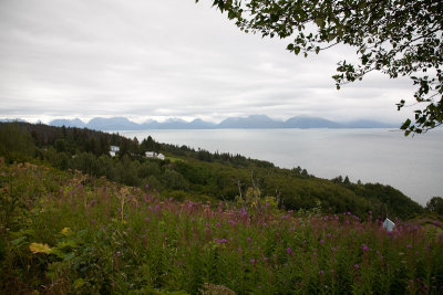 Looking onto Homer from Northwest