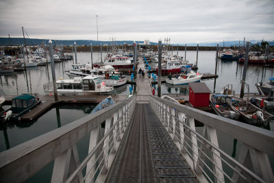 Homer harbor