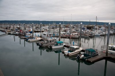 Homer harbor