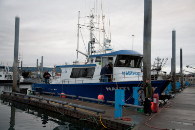 Nauti Lady