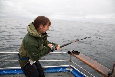 Catching halibut - hard work