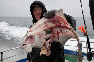 Carcass goes back into the ocean