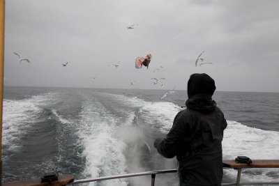 Carcass goes back into the ocean